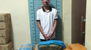 Sat Narkoba Polres Agara Gagalkan Distribusi Ganja ke Luar Daerah, 17,8 Kilogram Disita di Kecamatan Ketambe