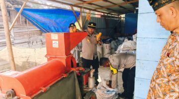 Panen Jagung 2 Ton di Pantai Raja, Polsek Turun Langsung Dampingi Petani