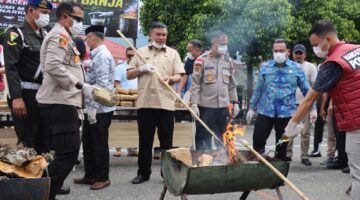 Kapolres Agara Pimpin Pemusnahan 161,9 Kg Ganja